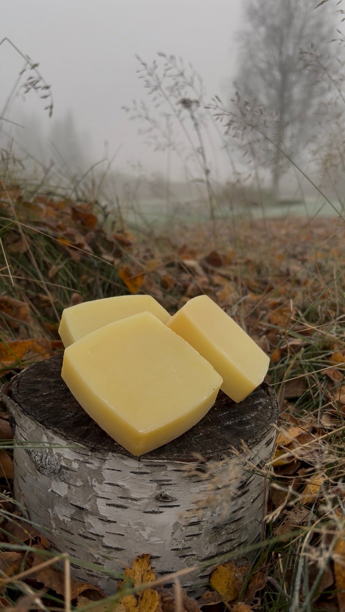 Huldra's Golden Meadow