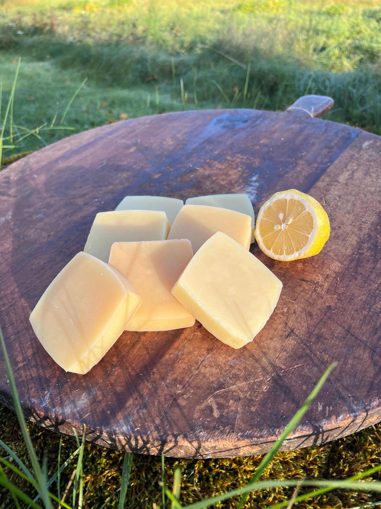 Huldra's Golden Meadow