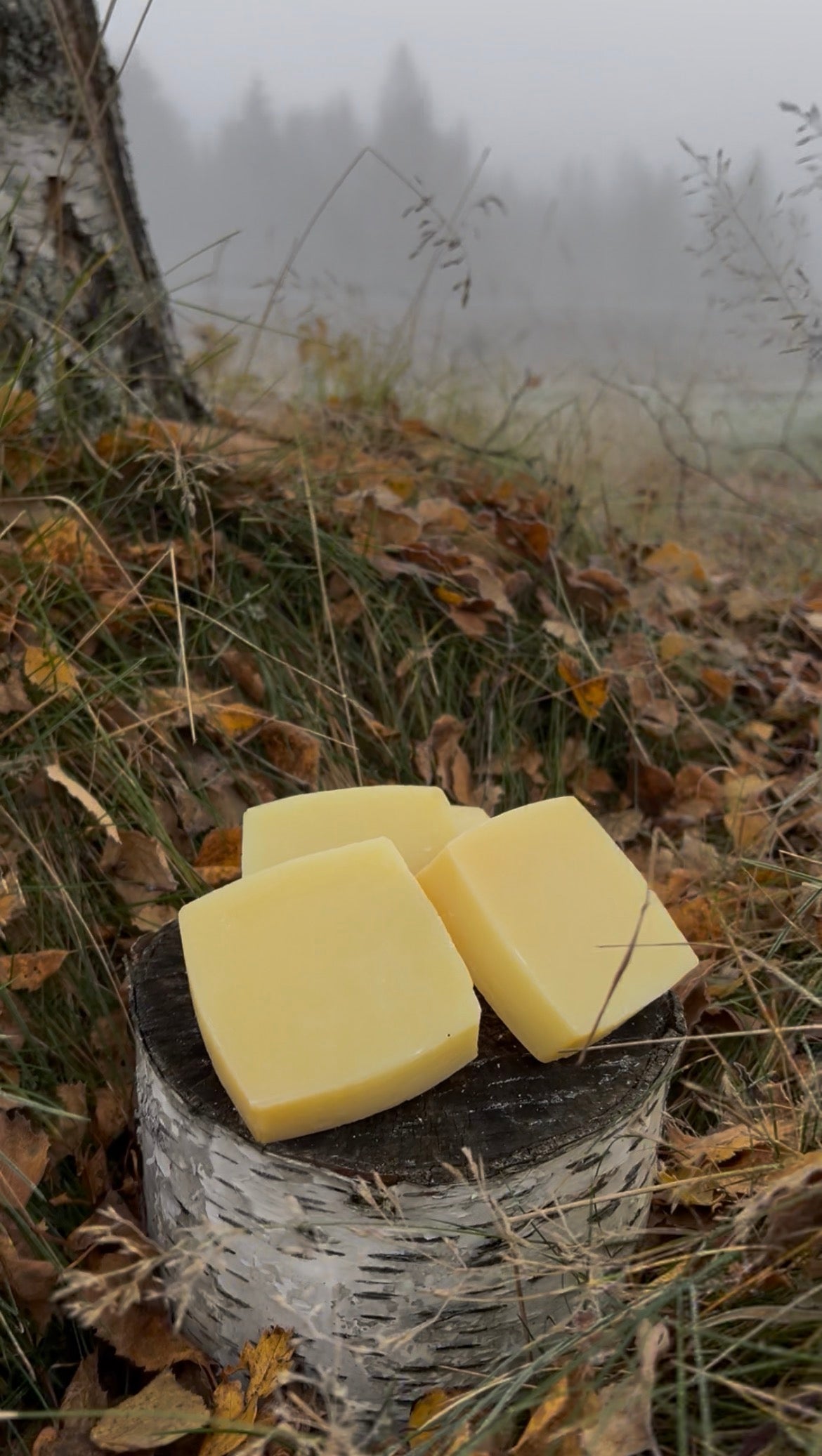 Huldra's Golden Meadow