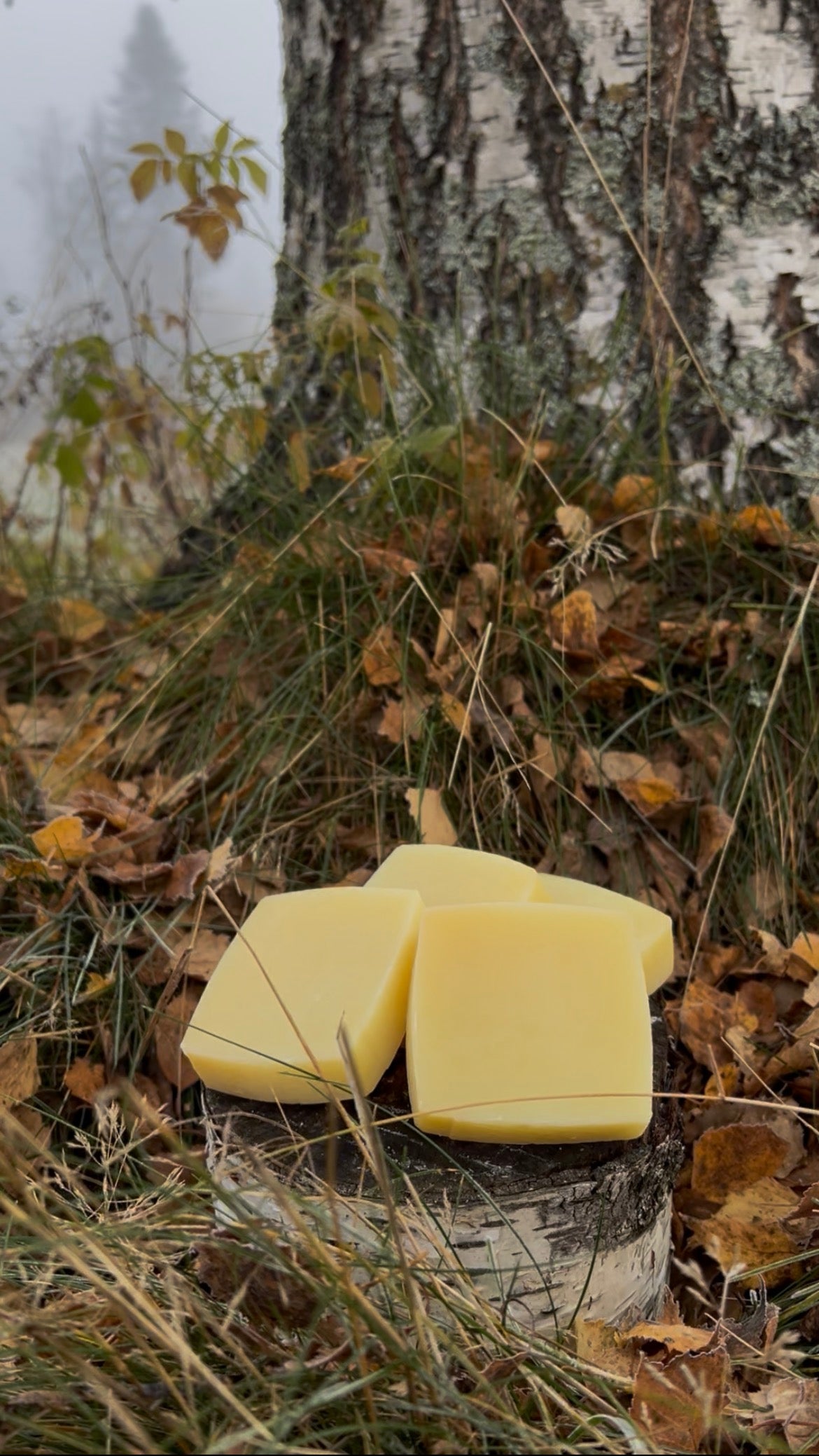 Huldra's Golden Meadow