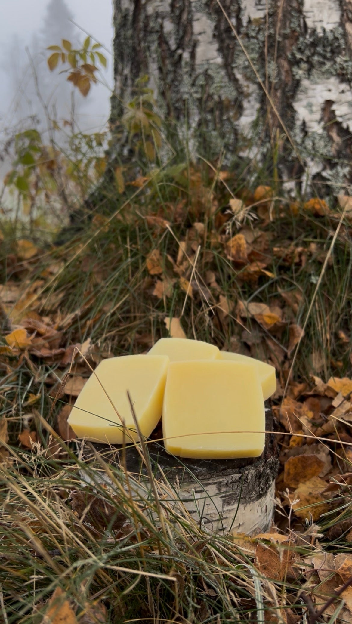 Huldra's Golden Meadow